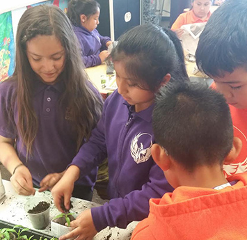 Salida del Sol students working in the garden